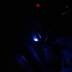 Meet your Posher, Jameson